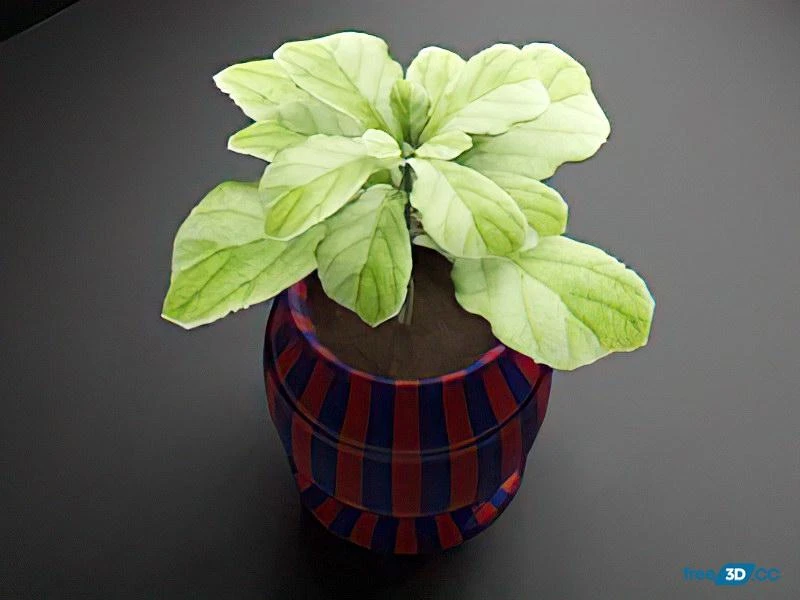 Broadleaf Potted Plant 3D Model